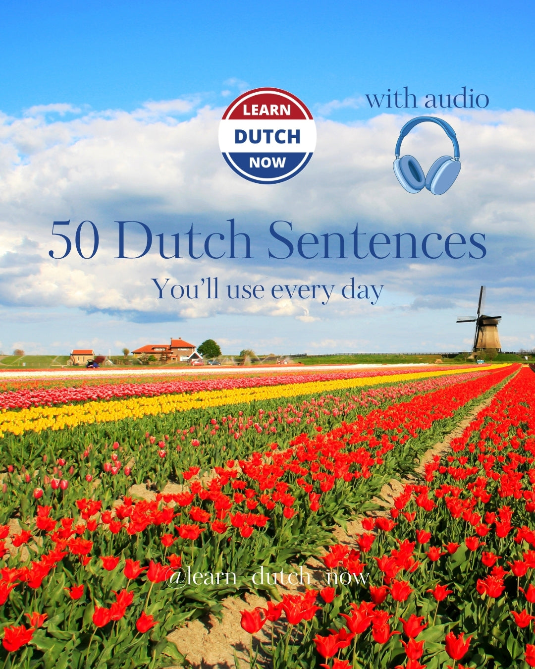 50 Dutch Sentences You’ll Use Every Day with Audio