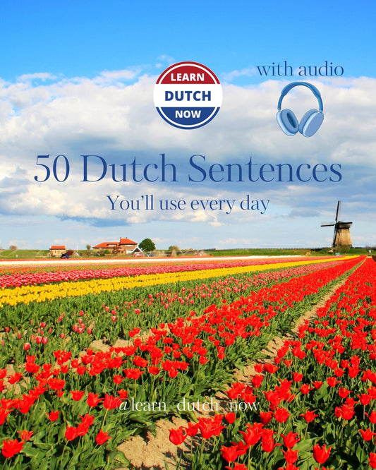 50 Dutch Sentences You’ll Use Every Day with Audio